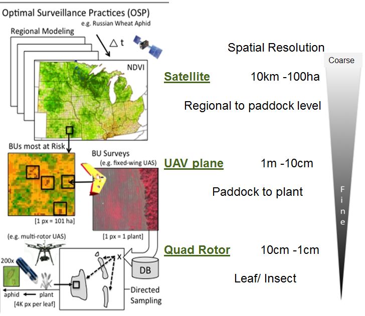 Scale is important for remote sensing